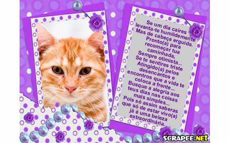 Moldura - Mensagem Otimista