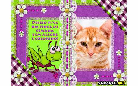 Moldura - Cores Do Arco Iris