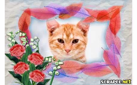 Moldura - Entre Folhas