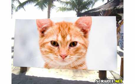 Moldura - Outdoor Na Praia