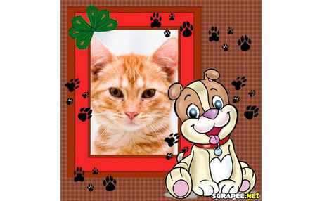 Moldura - Cosinho Lindo