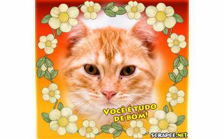 Moldura - Vc E Tudo De Bom