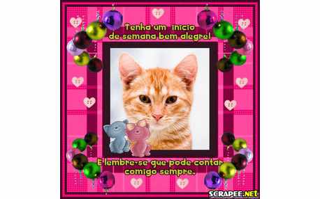 Moldura - Os Dois Gatinhos