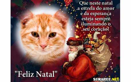 Moldura - Estrela Do Amor