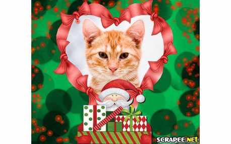 Moldura - Moldura De Natal