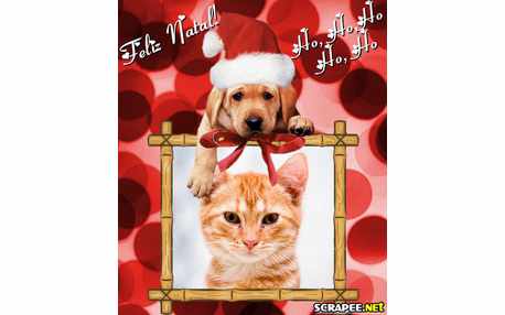 Moldura - Cao Natalino