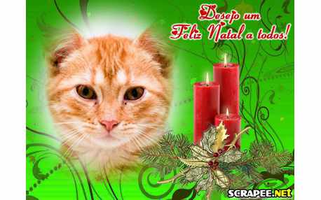 Moldura - Velas De Natal