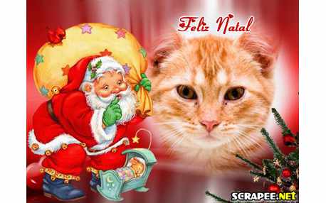 Moldura - Feliz Natal