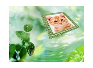 Moldura - Green Leafs