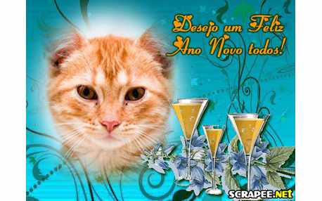 Moldura - Festa De Virada