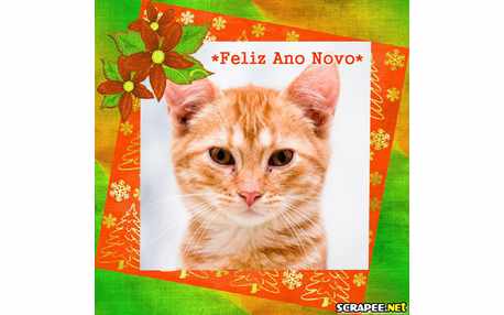 Moldura - Feliz Novo Ano