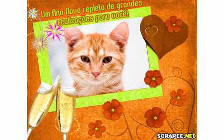 Moldura - Relizacoes Para 2010