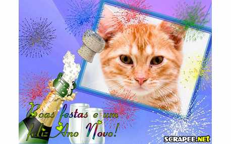 Moldura - Fogos E Champagne