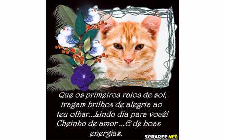 Moldura - Raios De Sol