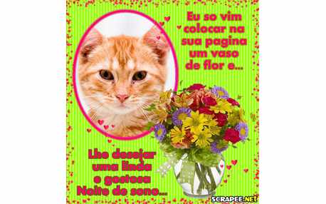 Moldura - Flor No Orkut