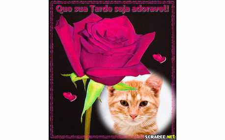 Coloque sua Foto numa Moldura de Rosa com Mensagem de Boa Tarde!