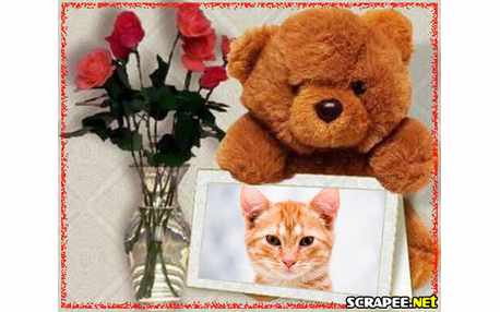 Moldura - Teddy   Bears