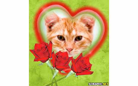 Moldura - Tres Botoes De Rosa