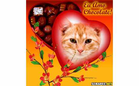 Moldura - Caixa De Bombons