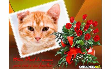 Moldura - Boque Vermelho