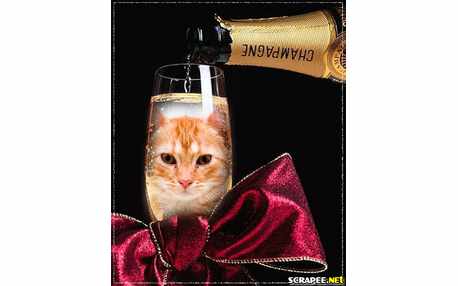 Moldura - Taca Com Laco