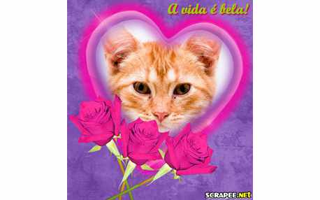 Moldura - Devemos Viver