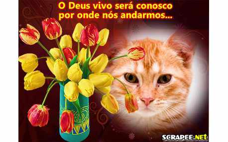 Moldura - Deus E Conosco