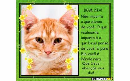 Moldura - Foto Msg Do Dia