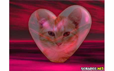 Moldura - Coracao Rosa