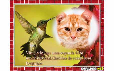 Moldura - Beija Flor Beija Foto