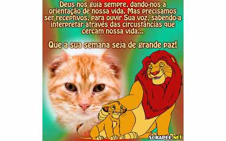 Moldura - Semana De Paz