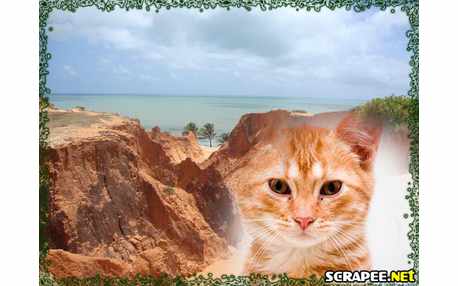 Moldura - Ao Lado Do Vale