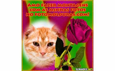 Moldura - Molduras  E Montagens