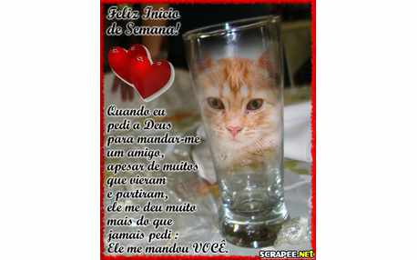 Moldura - Copo  Americano