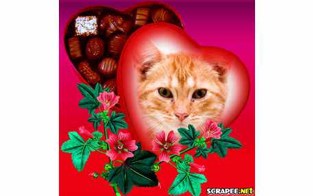 Moldura - Caixa De Bombons