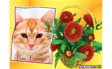 Moldura - Cesta De Flores