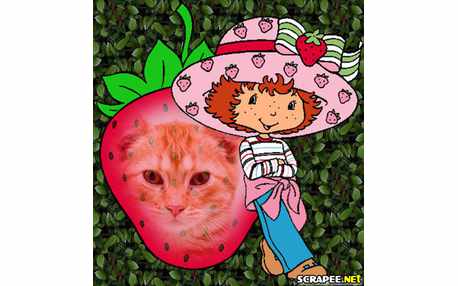 Moldura - Foto No Morango