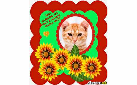 Moldura - Paz E Amor