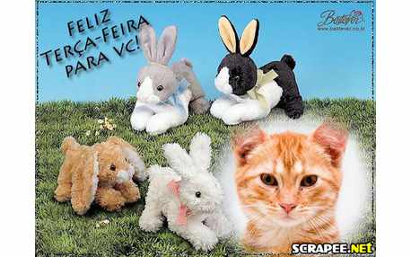 Moldura - Coelhinhos