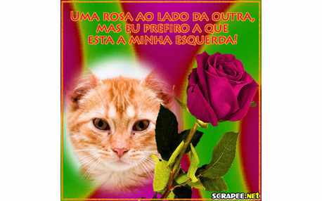 Moldura - Linda Cantada