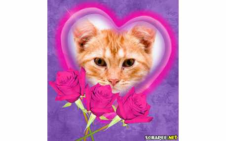 Moldura - Rosas Pink