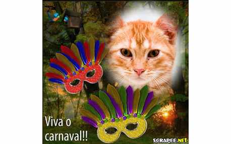 Moldura - Mascara De Carnaval