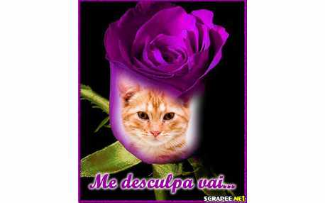 Moldura - Me Desculpe