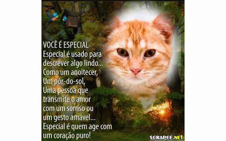 Moldura - Vc Que E Especial