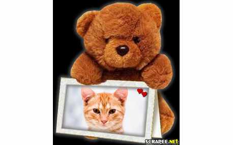 Moldura - Urso Com Foto