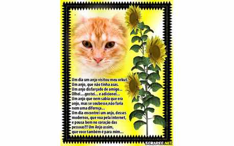 Moldura - Anjo Da Internete