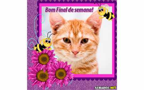 Moldura - Moldura Com Flor