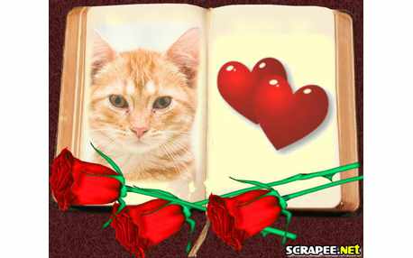 Moldura - Livro Do Amor