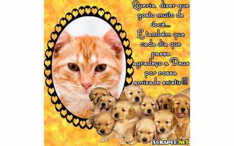 Moldura - Queria Te Dizer