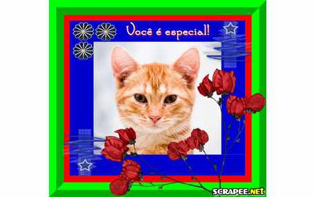 Moldura - Alguem Especial